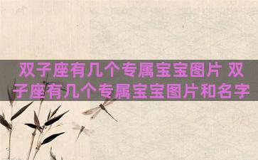 双子座有几个专属宝宝图片 双子座有几个专属宝宝图片和名字